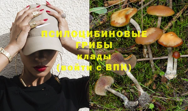 2c-b Вязники