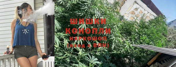 меф Вяземский