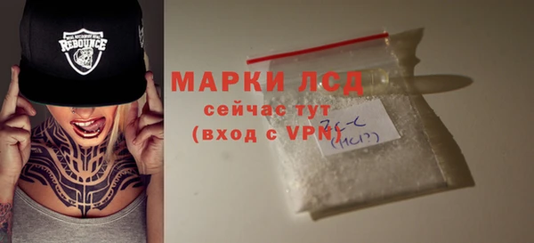 гашик Вязьма