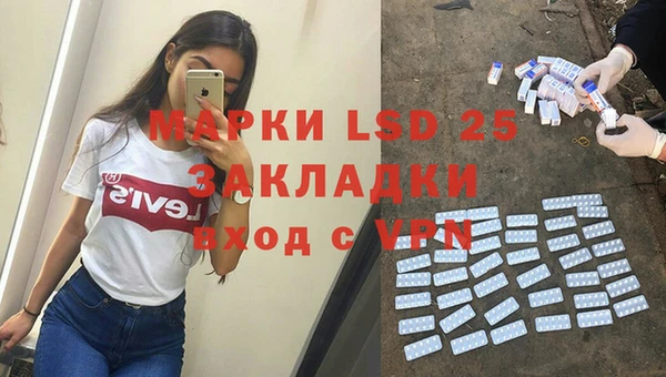 гашик Вязьма
