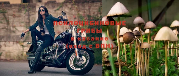 гашик Вязьма