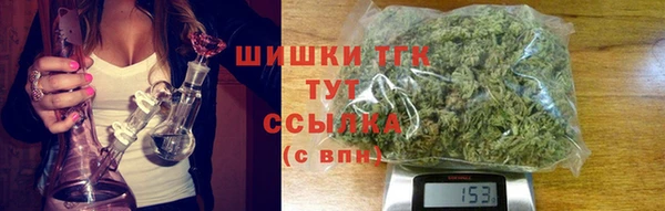 гашик Вязьма